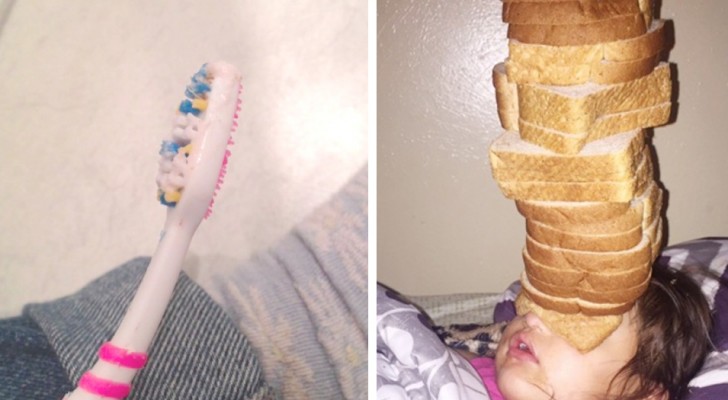 19 images that show the cohabitation between siblings in a very realistic way