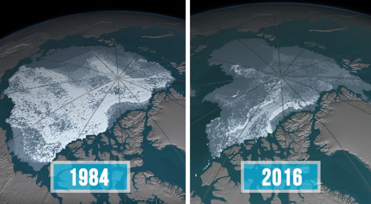 Questa mappa della NASA mostra quanto sia cambiato l'aspetto dell'Artico in 30 anni