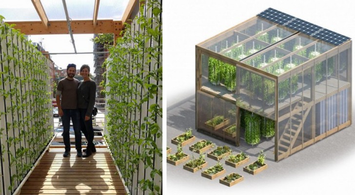 Voici l'innovante serre urbaine qui peut produire jusqu'à 6 tonnes de nourriture par an