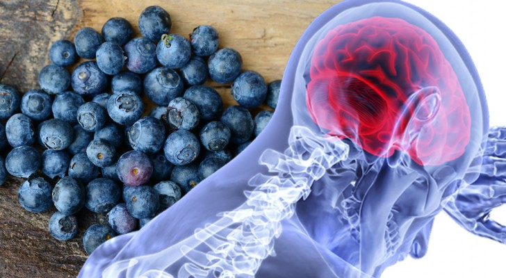 7 super-alimenti molto comuni che ti aiutano a potenziare l'attività cerebrale
