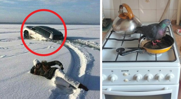 18 people who received "surprises" that they are unlikely to forget!