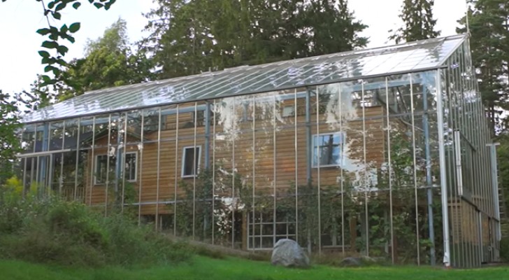 Une famille suédoise a entouré sa maison d'une maxi-serre, pour obtenir plus de chaleur et pouvoir cultiver des légumes