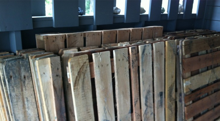 These wooden pallets were to be thrown away, but a family had a brilliant idea and got excellent results!