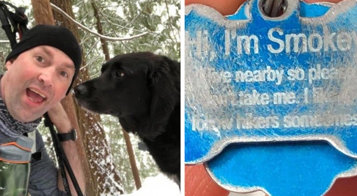 Dos excursionistas encuentran un perro en el bosque, luego leen el mensaje sobre la medalla