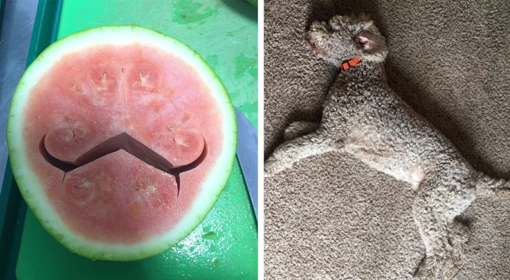 22 photos that will give you something to think about before you can understand the meaning!