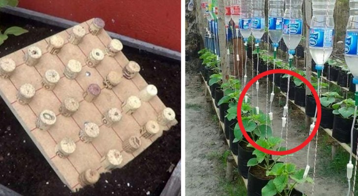 Pasion por la jardineria? Estos trucos haran de ti un experto del verde y del bricolage!