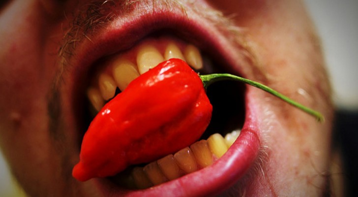 Mensen die hete pepers eten leven langer en beter: hier het onderzoek dat dit bevestigt