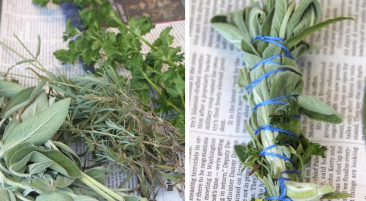 Anti-moustique naturel : voici comment en créer un avec les herbes que vous avez dans votre jardin.