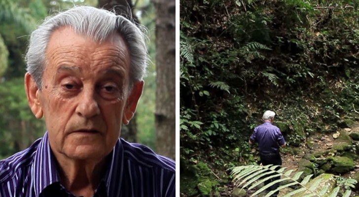 Voici l'homme qui a planté de ses propres mains 50 000 arbres et qui vit maintenant dans sa jungle