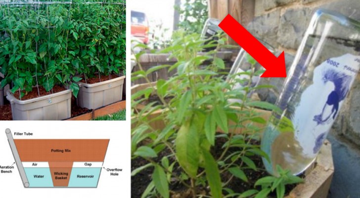 11 DIY automatic irrigation systems that make gardening even easier