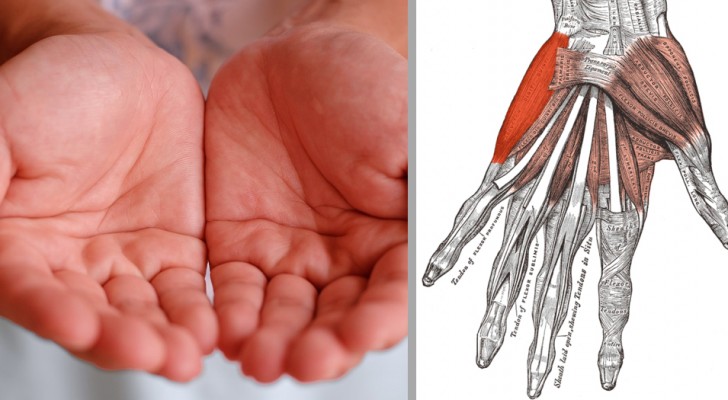 7 segnali relativi alla salute del tuo corpo che puoi conoscere soltanto guardandoti le mani