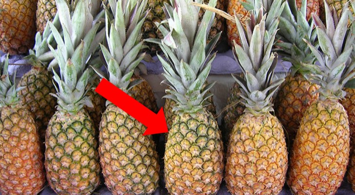 Some tips to choose the best pineapple and avoid unpleasant surprises