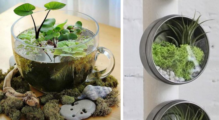 24 preziose idee per la creazione di un terrario che non dovete lasciarvi sfuggire