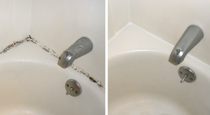 Tracce di muffa nel bagno? Questo metodo casalingo le rimuove in modo semplice ed efficace