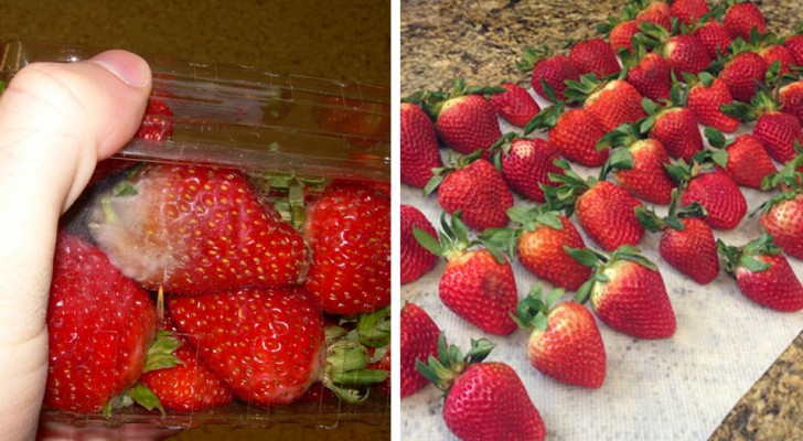 Willst du Erdbeeren länger haltbar machen? Hier ist das Verfahren, um sie für Tage frisch zu genießen