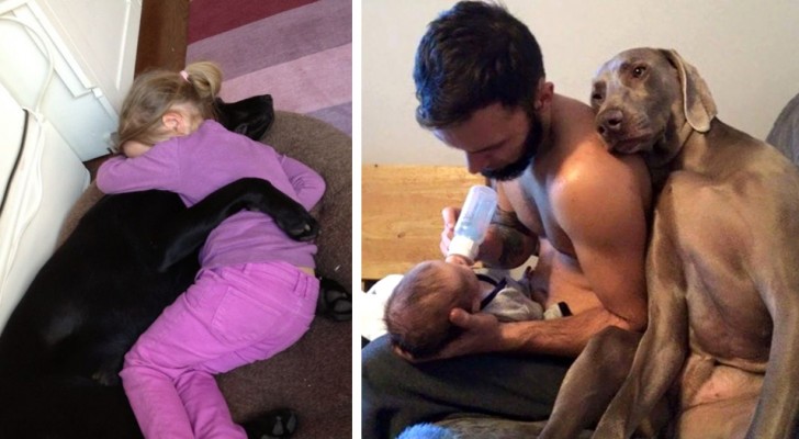 18 examples that perfectly illustrate the unconditional love that dogs are capable of