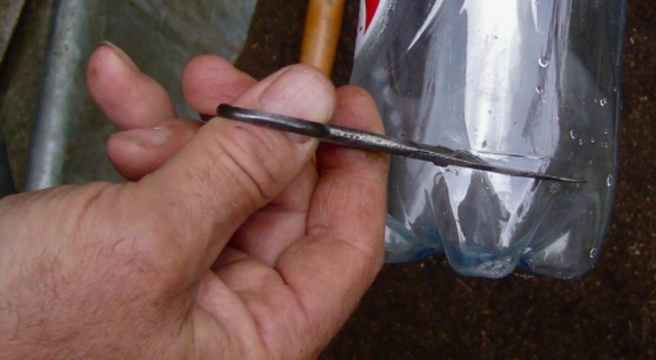 Wie man aus Plastikflaschen wunderbar hochkant einen Garten gestalten kann