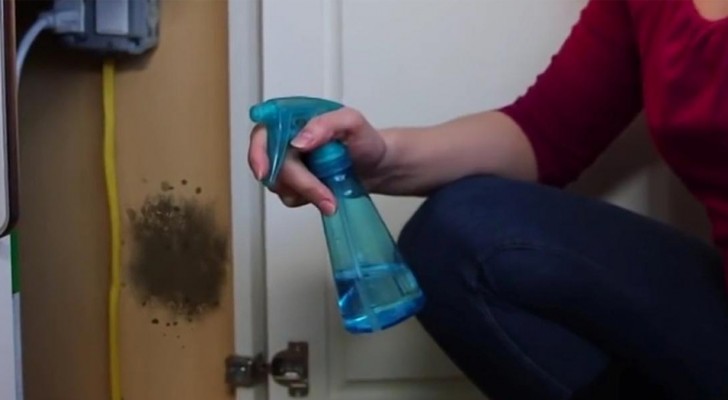 Mold in your house? Remove it with this effective home remedy!