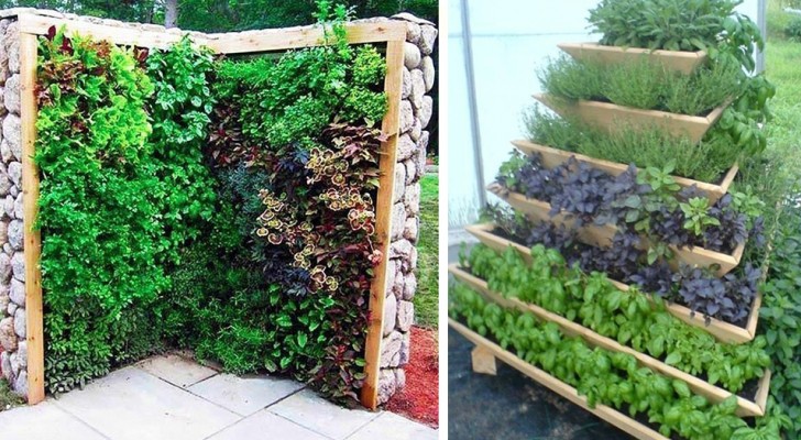 Vertical gardens! 17 wonderful ideas from which you can choose the one that's right for you!