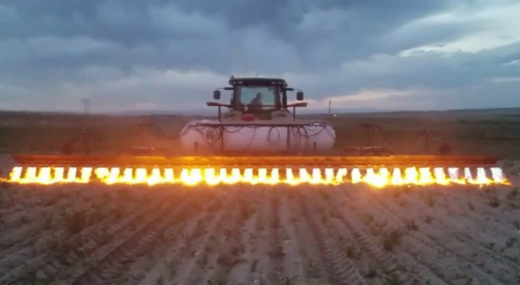 This tractor eliminates weeds without using herbicides --- here is how it functions!