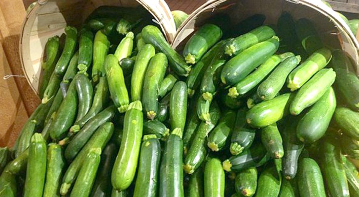 Hoe je courgettes op je balkon kunt kweken en in hoeveelheid laten groeien