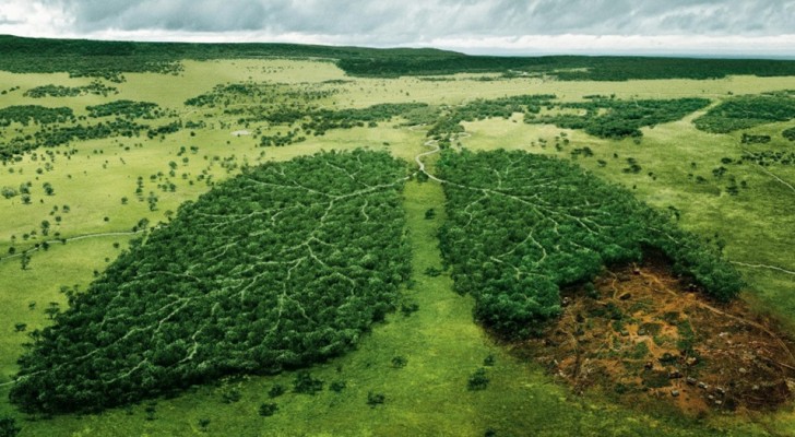 24 des campagnes publicitaires environnementales les plus marquantes, qui suscitent la réflexion