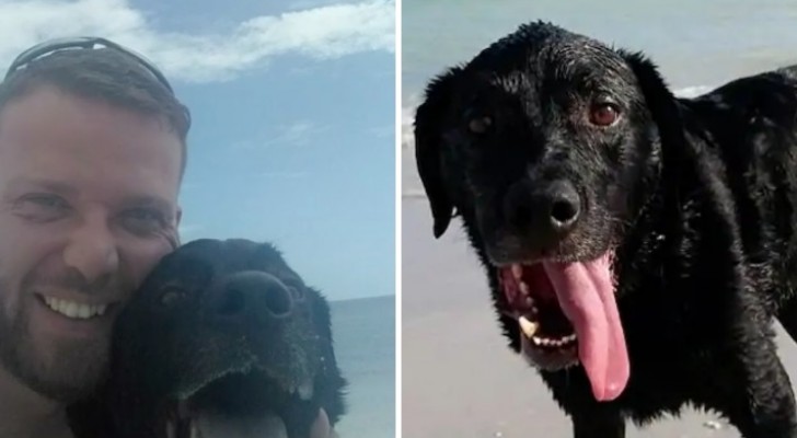 Zijn hond zwemt in zee: 3 dagen later gebeurt er iets wat hij NOOIT verwacht had