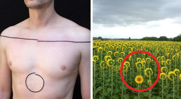 16 photos so annoying to see that you probably will not be able to finish looking at them!