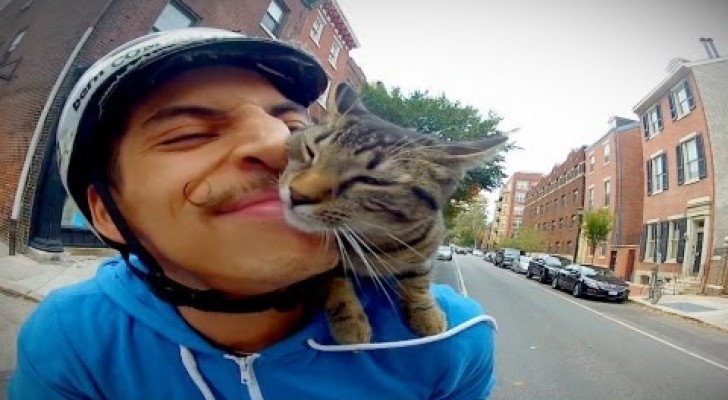 GoPro: gato e seu dono dão uma voltinha de bicicleta