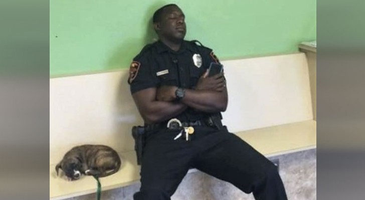Un poliziotto esausto decide di aiutare un cucciolo in difficoltà: poche ore dopo sarà acclamato come un eroe