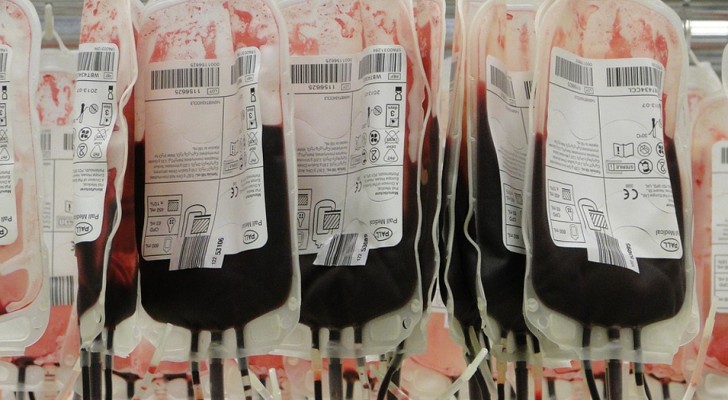 Wetenschappers ontdekken dat sommige darmenzymen de bloedgroep van cellen zouden kunnen veranderen