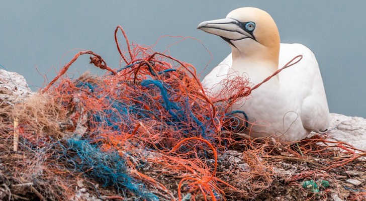 10 semplicissime azioni quotidiane che possono salvare l'ambiente dalla distruzione