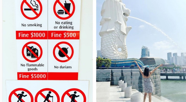 10 motivi per cui sempre più persone decidono di trasferirsi a Singapore (e di restarci )
