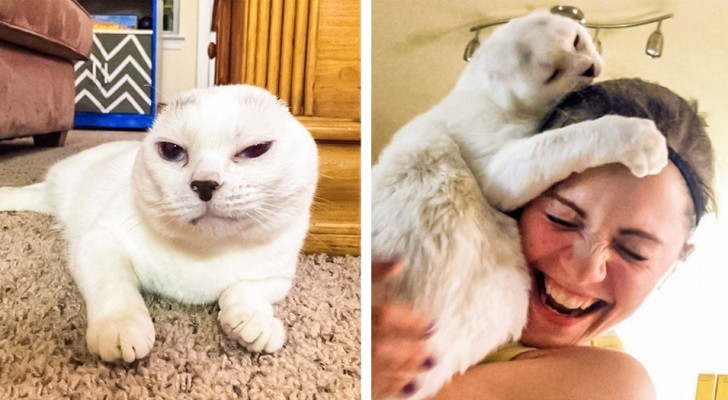 16 animals whose imperfections make them even more special and loved by their owners