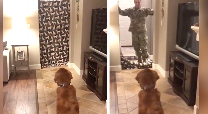 A soldier returns home after nine months and it is a lovely surprise for his dog