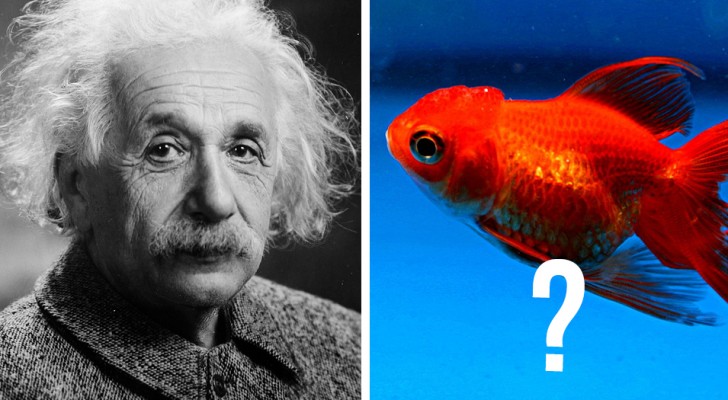 L'énigme d'Einstein : l'énigme que seulement 2% des gens arrivent à résoudre