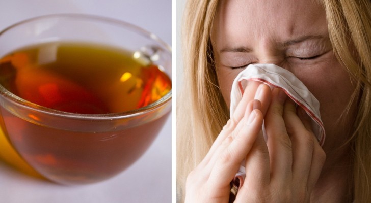 Tè verde, zenzero e timo: una bevanda casalinga che può aiutare ad attenuare i sintomi del raffreddore