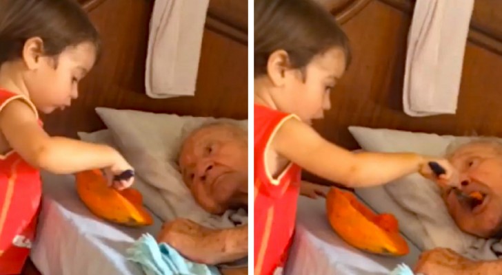 Il bambino aiuta il nonno anziano a mangiare... e il video emoziona migliaia di persone!