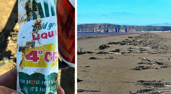 Ritrovata su una spiaggia una bottiglia di plastica di 50 anni fa: per l'ambiente è una pessima notizia