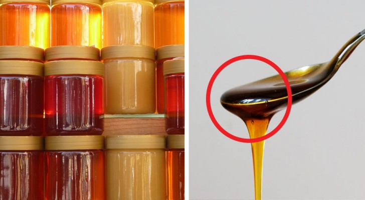 6 méthodes de la tradition populaire qui peuvent vous dire si un miel est de mauvaise qualité	