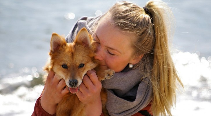 Le persone tendono a voler bene più ai cani che agli esseri umani: lo conferma uno studio