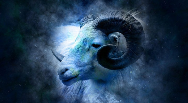 5 redenen waarom we allemaal zouden moeten proberen een Ram in ons leven te hebben