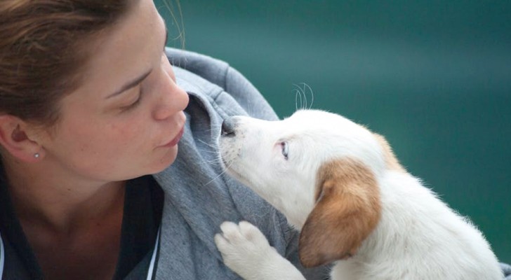 7 Dinge über dich, von denen du nicht wusstest, dass ein Hund sie riechen kann.