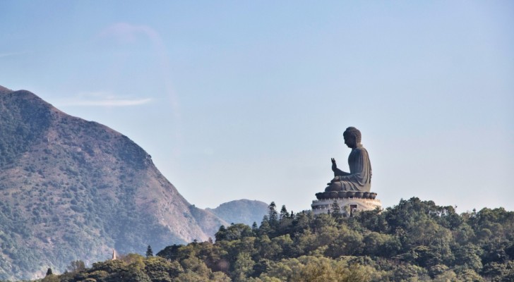 Wenn du nicht weißt, was du tun sollst, tu nichts: Eine buddhistische Geschichte lehrt uns den Wert der Geduld