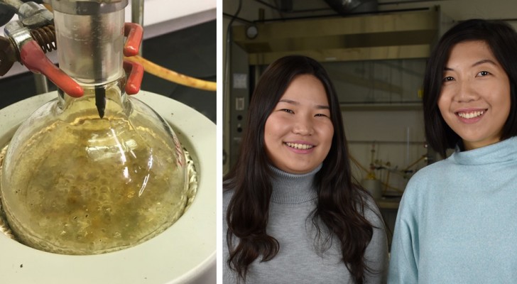 Ein 24-jähriges Mädchen entdeckt eine neue Art, Plastik abzubauen und von den Ozeanen fernzuhalten