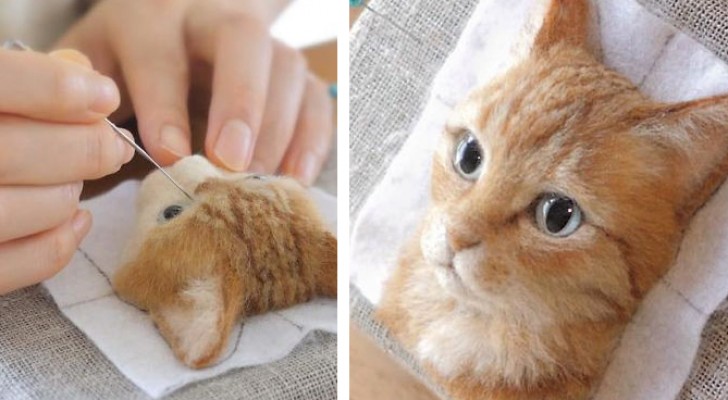 Questa ragazza realizza ritratti di gatti con la lana, e il risultato sembra prendere vita da un momento all'altro