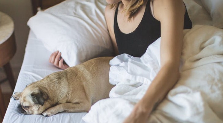 Enligt en undersökning föredrar kvinnor att sova med sina hundar snarare än med sin partner eftersom det får dem att känna sig mer trygga 