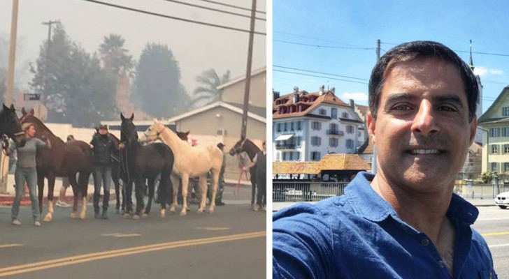 Een bekende stuntman in Hollywood riskeerde zijn leven om honderden paarden te redden uit de branden in Californië