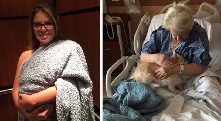 A neta faz de conta que o cachorro é um bebê para conseguir levá-lo para visitar sua avó que está no hospital