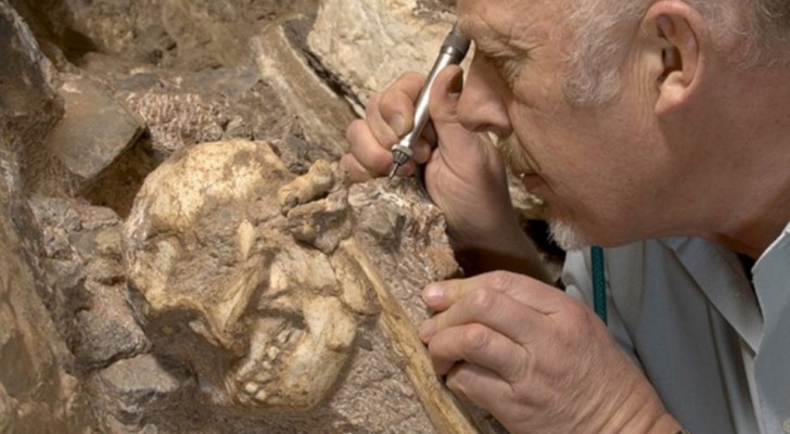 Es ist die erste Art, die vor dem Homo einen zweibeinigen Gang hatte: Die Entdeckung der Archäologen ist historisch